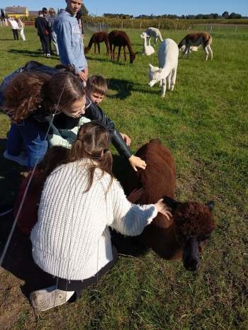 WhatsApp Image 2025-09-24 at 13.57.18.jpeg