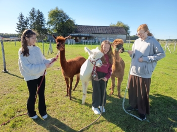 WhatsApp Image 2025-09-24 at 13.57.27 (1).jpeg