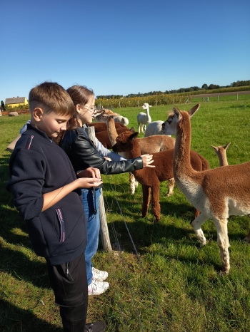 WhatsApp Image 2025-09-24 at 13.57.45 (3).jpeg