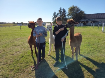 WhatsApp Image 2025-09-24 at 13.57.45.jpeg