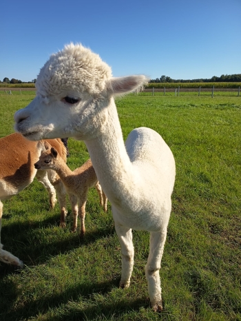 WhatsApp Image 2025-09-24 at 13.57.46 (2).jpeg