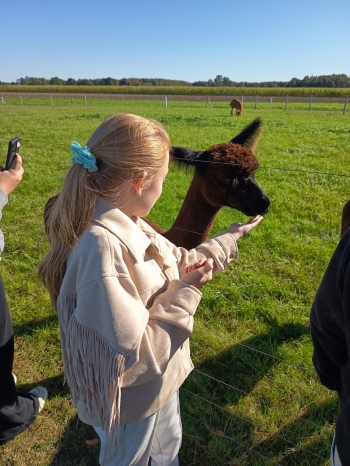 WhatsApp Image 2025-09-24 at 13.57.46.jpeg