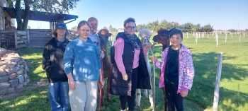 WhatsApp Image 2025-09-25 at 08.52.45.jpeg