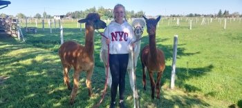 WhatsApp Image 2025-09-25 at 08.52.48 (1).jpeg