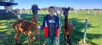 WhatsApp Image 2025-09-25 at 08.52.49 (2).jpeg