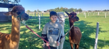 WhatsApp Image 2025-09-25 at 08.52.49 (5).jpeg