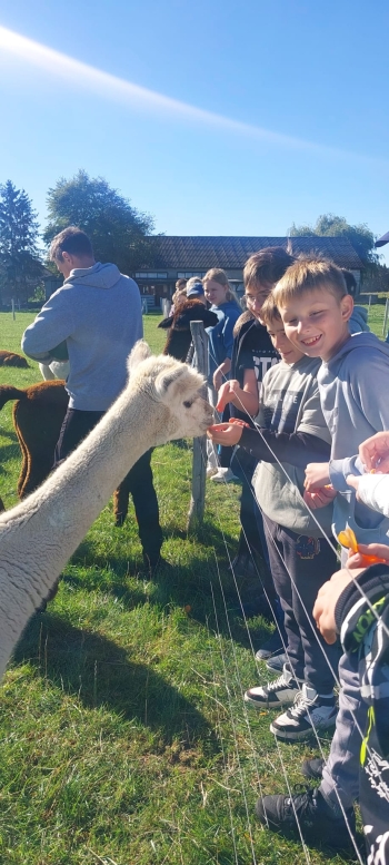 WhatsApp Image 2025-09-25 at 08.52.50 (4).jpeg