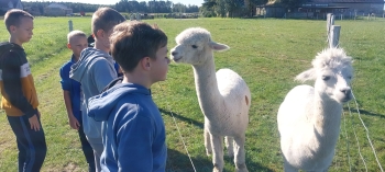 WhatsApp Image 2025-09-25 at 08.52.50 (3).jpeg