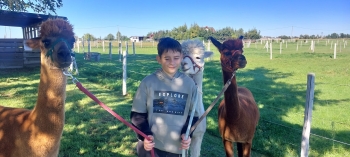 WhatsApp Image 2025-09-25 at 08.52.50.jpeg