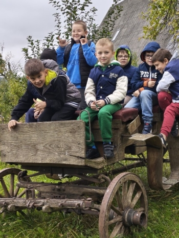 WhatsApp Image 2025-10-02 at 14.51.33.jpeg