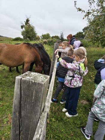 WhatsApp Image 2025-10-02 at 14.51.40 (1).jpeg