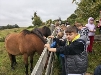 WhatsApp Image 2025-10-02 at 14.51.40 (2).jpeg