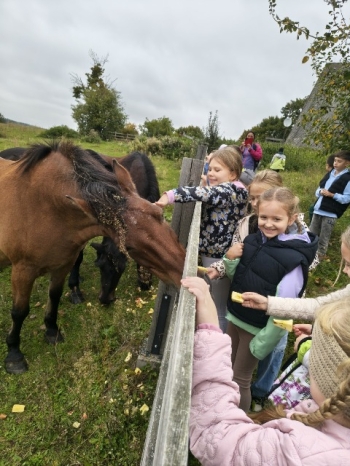 WhatsApp Image 2025-10-02 at 14.51.40.jpeg