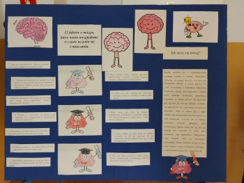 WhatsApp Image 2026-03-19 at 09.16.24.jpeg