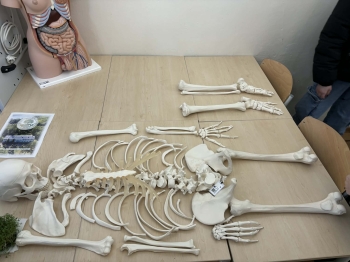 WhatsApp Image 2026-04-09 at 11.54.52 (23).jpeg