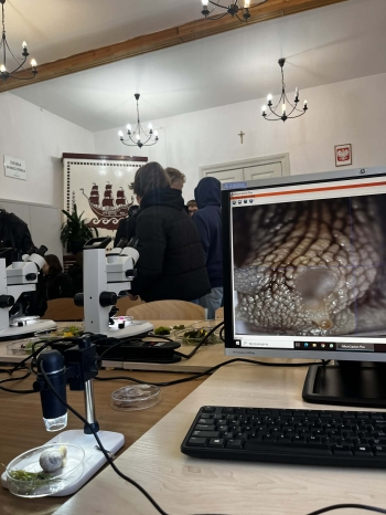 WhatsApp Image 2026-04-09 at 11.54.52 (31).jpeg