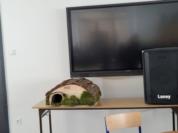 de7396e5-e04f-4daa-af64-457cf21419a3.jfif