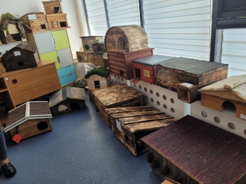 e1ae5d60-d715-40f1-bd9c-ed0ea40912db.jfif