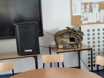 ed5ba4cc-a27b-4d3b-8d7c-220e349d48bc.jfif