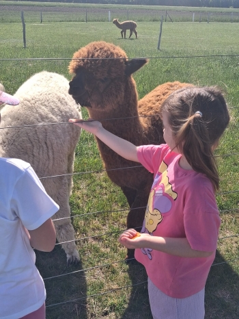 702117764_2120949112020641_7962303927694111055_n