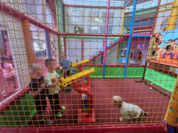 IMG-20260611-WA0031