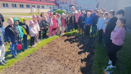 NASZ SZKOLNY OGRÓDEK